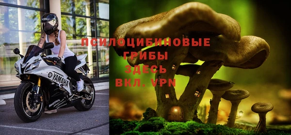 ALPHA-PVP Ельня